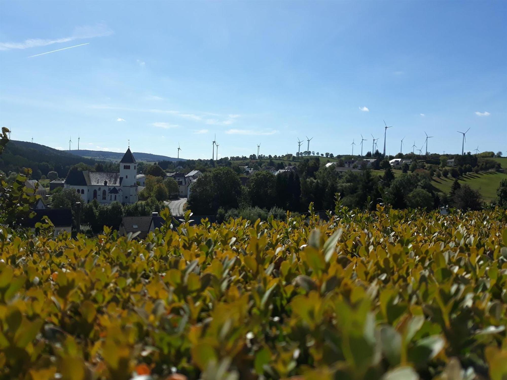 An Der Kleinen Schreinerei Hallschlag